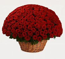 Премиум букет из: Розы в Духанино